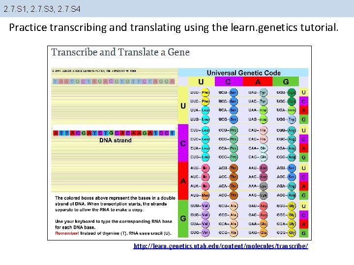 2. 7. S 1, 2. 7. S 3, 2. 7. S 4 Practice transcribing 2. 7. S 1, 2. 7. S 3, 2. 7. S 4 Practice transcribing