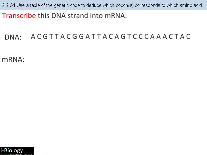 2. 7. S 1 Use a table of the genetic code to deduce which 2. 7. S 1 Use a table of the genetic code to deduce which