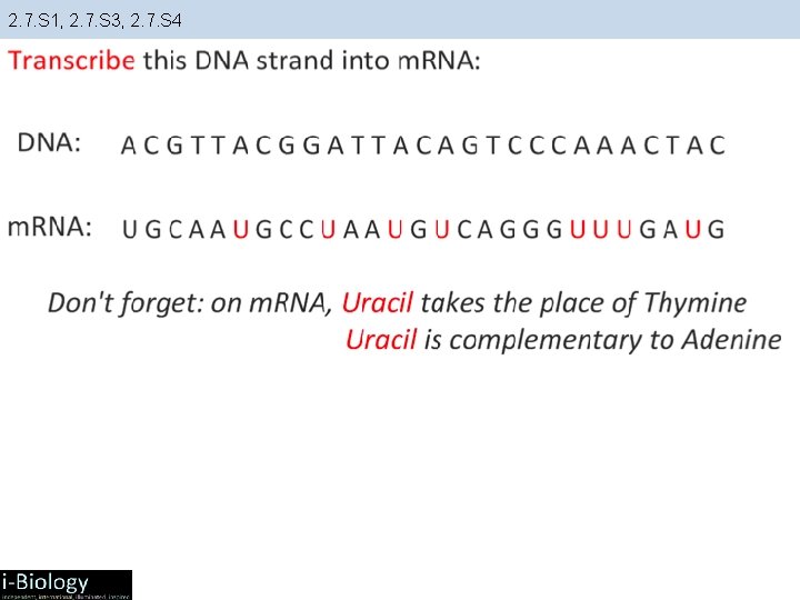 2. 7. S 1, 2. 7. S 3, 2. 7. S 4 2. 7. S 1, 2. 7. S 3, 2. 7. S 4