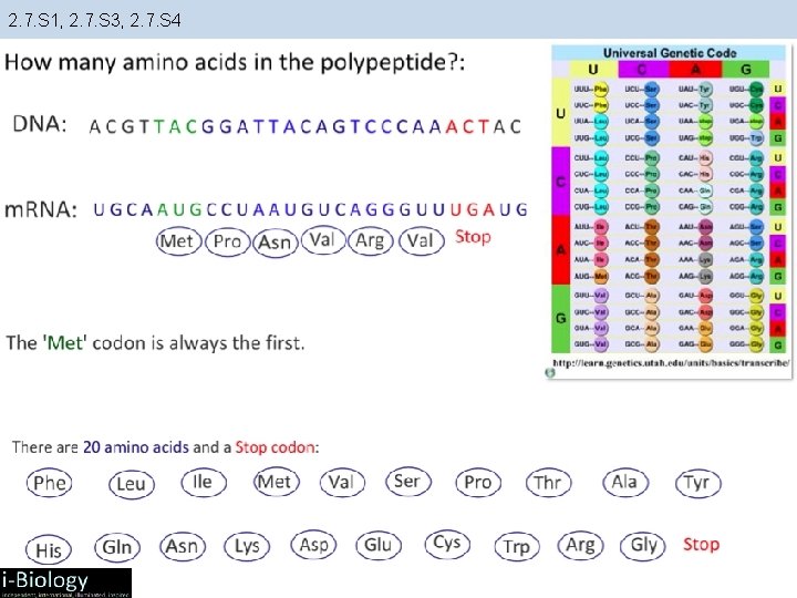2. 7. S 1, 2. 7. S 3, 2. 7. S 4 2. 7. S 1, 2. 7. S 3, 2. 7. S 4