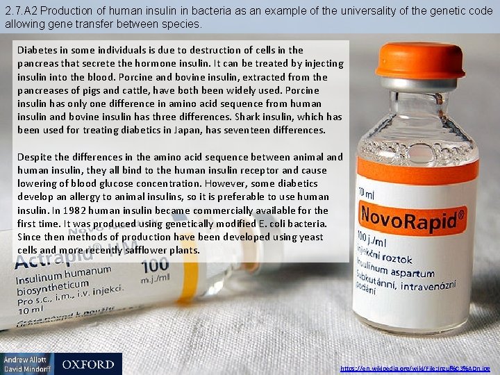 2. 7. A 2 Production of human insulin in bacteria as an example of 2. 7. A 2 Production of human insulin in bacteria as an example of