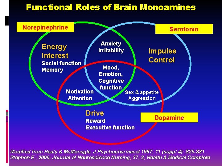 Functional Roles of Brain Monoamines Norepinephrine Serotonin Anxiety Irritability Energy Interest Social function Memory