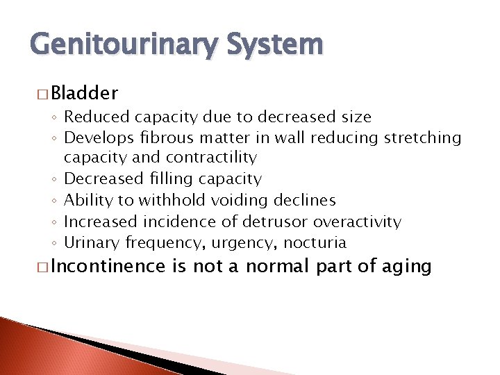 Genitourinary System � Bladder ◦ Reduced capacity due to decreased size ◦ Develops fibrous