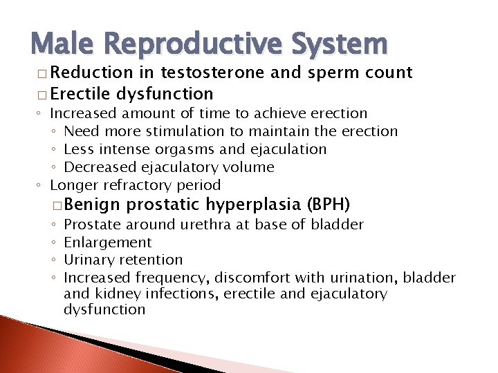 Male Reproductive System � Reduction in testosterone and sperm count � Erectile dysfunction ◦