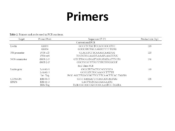Primers 