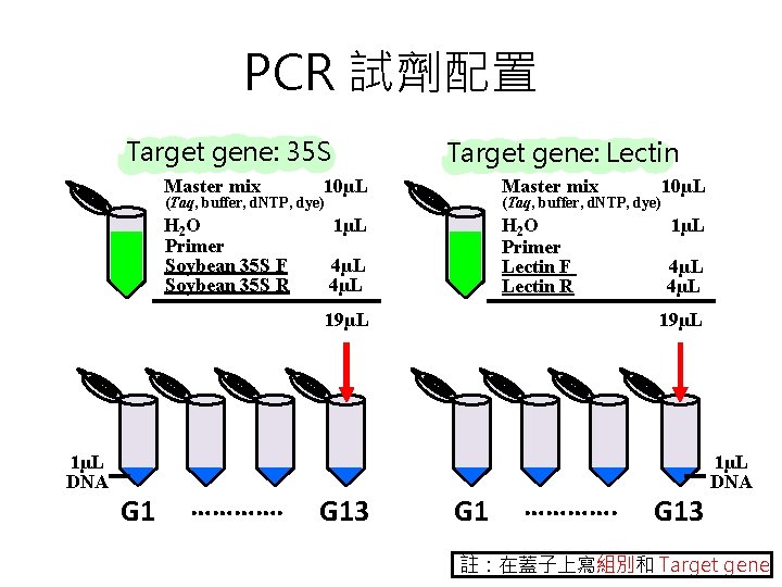 PCR 試劑配置 Target gene: 35 S Master mix Target gene: Lectin 10µL Master mix