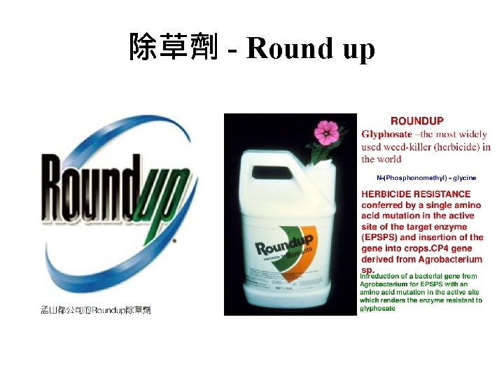 除草劑 - Round up 