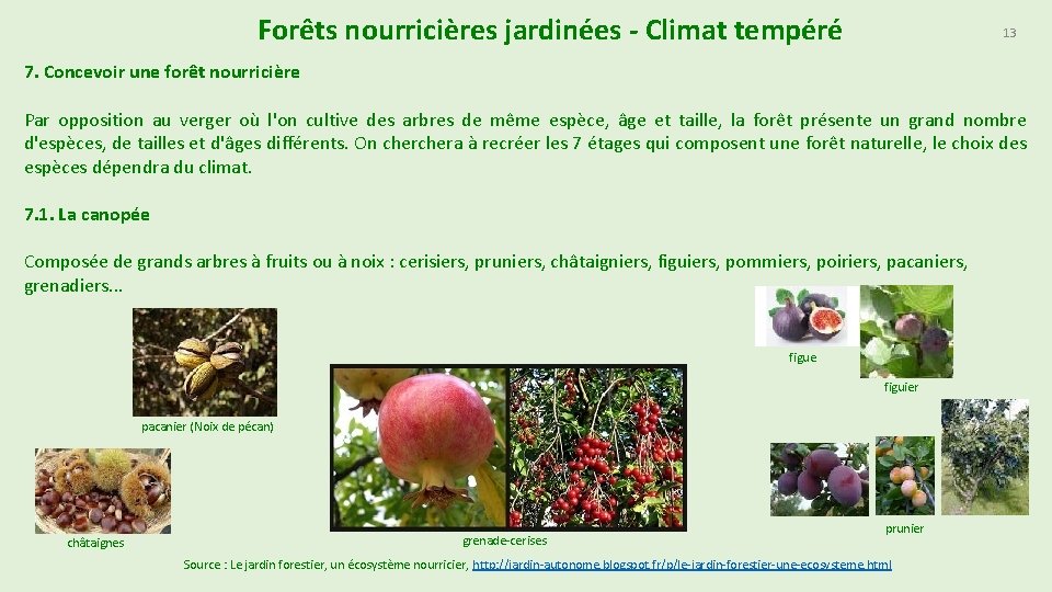 Forêts nourricières jardinées - Climat tempéré 13 7. Concevoir une forêt nourricière Par opposition