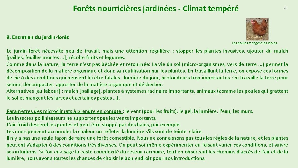 Forêts nourricières jardinées - Climat tempéré 9. Entretien du jardin-forêt 20 Les poules mangent