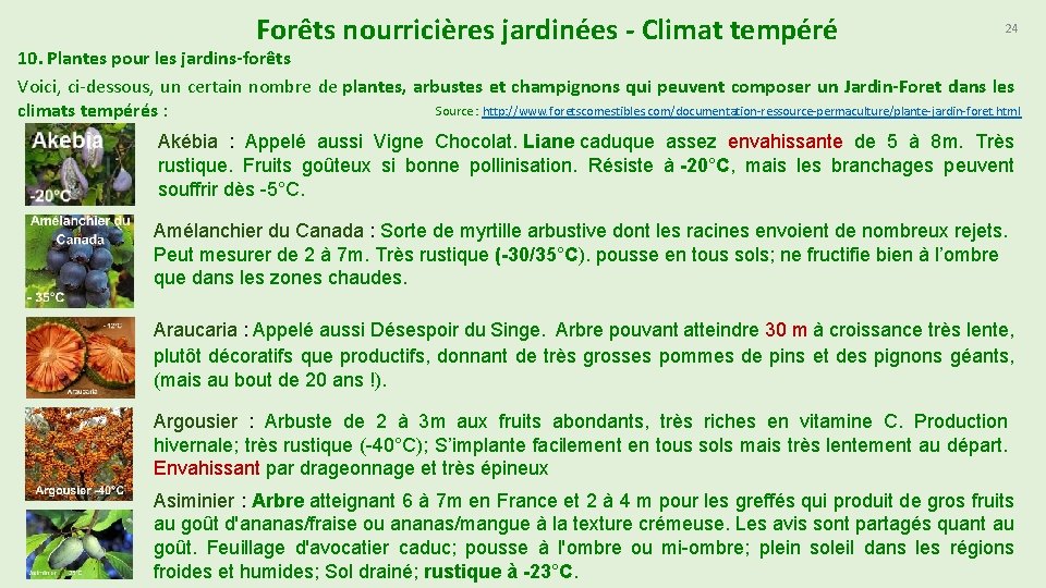 Forêts nourricières jardinées - Climat tempéré 24 10. Plantes pour les jardins-forêts Voici, ci