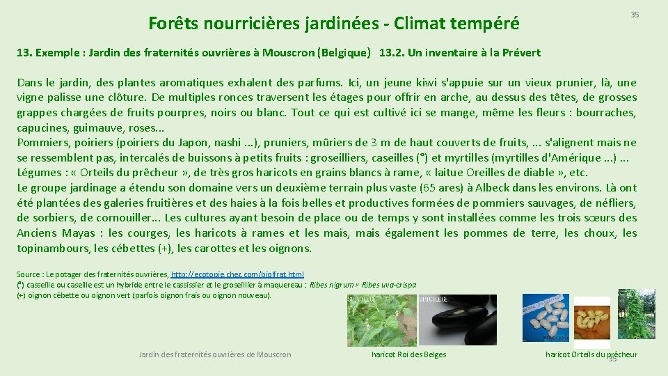 Forêts nourricières jardinées - Climat tempéré 35 13. Exemple : Jardin des fraternités ouvrières