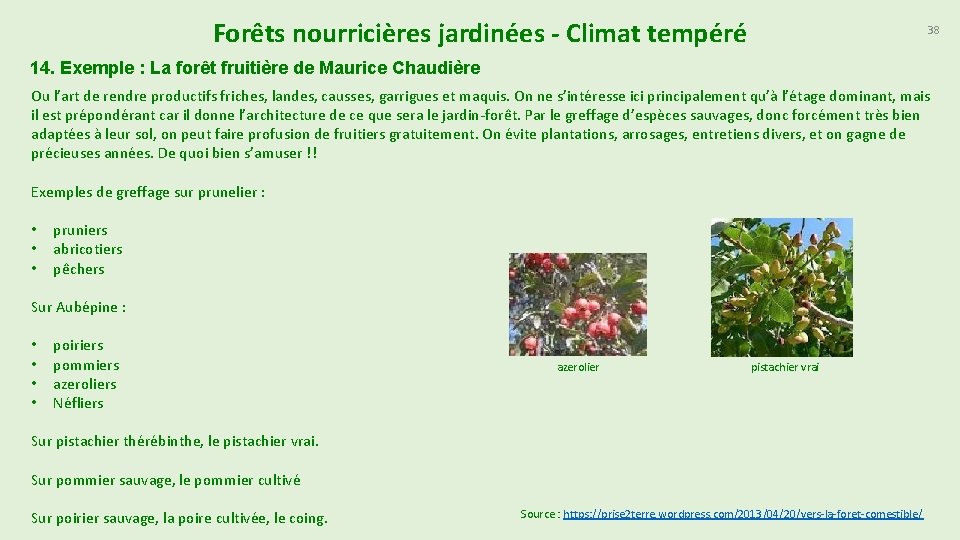 Forêts nourricières jardinées - Climat tempéré 38 14. Exemple : La forêt fruitière de