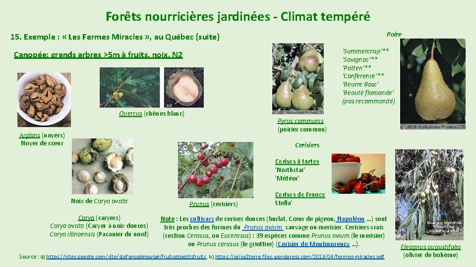 Forêts nourricières jardinées - Climat tempéré Poire 15. Exemple : « Les Fermes Miracles Forêts nourricières jardinées - Climat tempéré Poire 15. Exemple : « Les Fermes Miracles