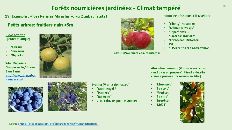 Forêts nourricières jardinées - Climat tempéré 15. Exemple : « Les Fermes Miracles »