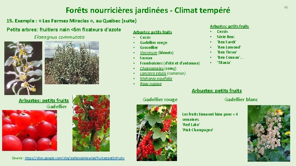 Forêts nourricières jardinées - Climat tempéré 15. Exemple : « Les Fermes Miracles »