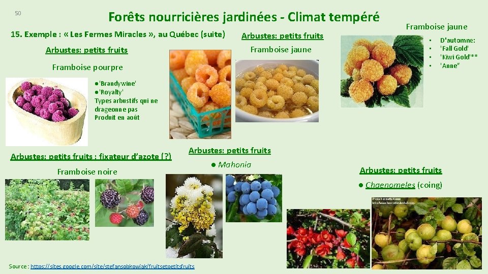 50 Forêts nourricières jardinées - Climat tempéré 15. Exemple : « Les Fermes Miracles