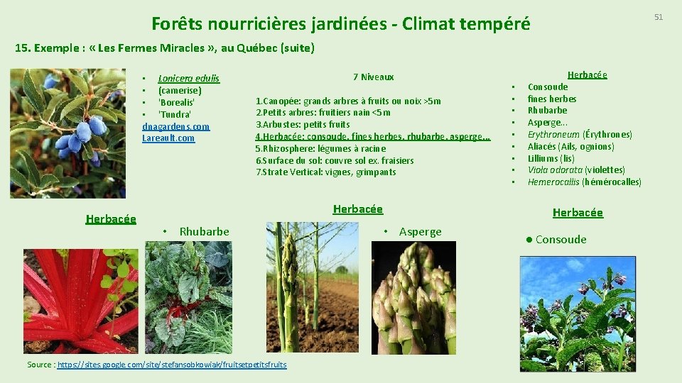 Forêts nourricières jardinées - Climat tempéré 51 15. Exemple : « Les Fermes Miracles