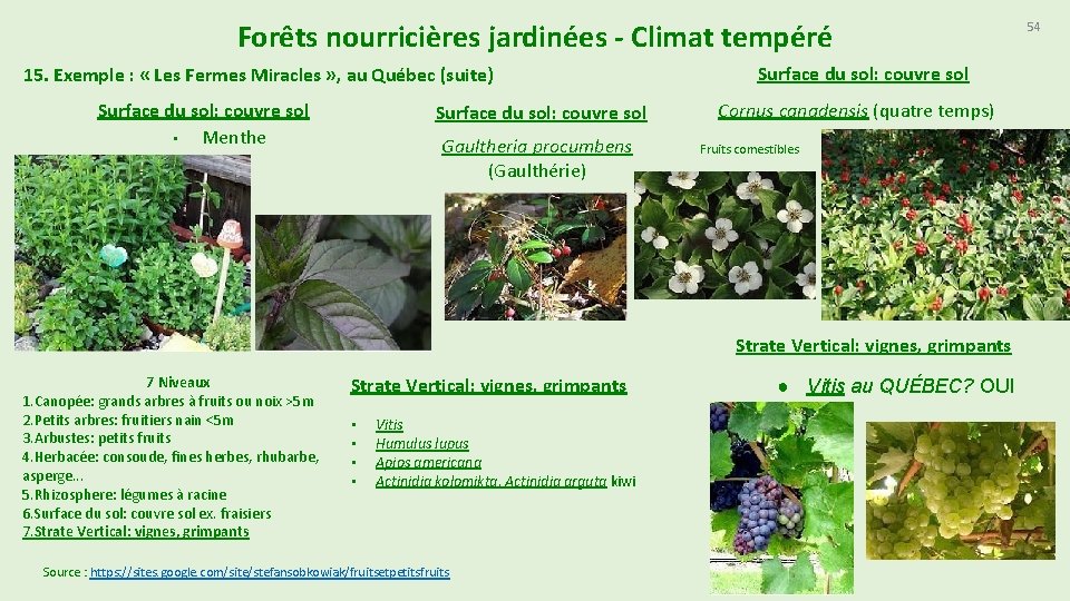 Forêts nourricières jardinées - Climat tempéré 15. Exemple : « Les Fermes Miracles »