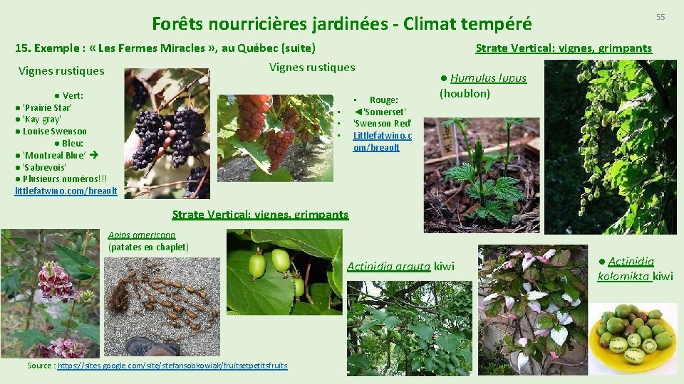 Forêts nourricières jardinées - Climat tempéré 15. Exemple : « Les Fermes Miracles »