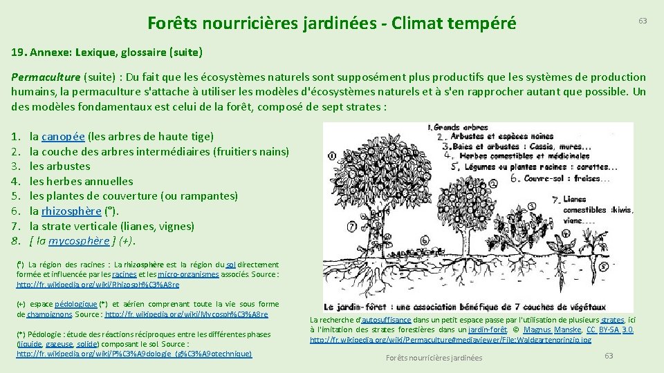 Forêts nourricières jardinées - Climat tempéré 63 19. Annexe: Lexique, glossaire (suite) Permaculture (suite)