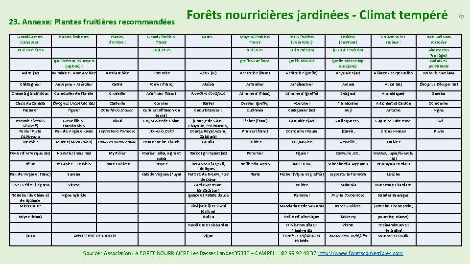 23. Annexe: Plantes fruitières recommandées Forêts nourricières jardinées - Climat tempéré Grands arbres (canopée) 23. Annexe: Plantes fruitières recommandées Forêts nourricières jardinées - Climat tempéré Grands arbres (canopée)