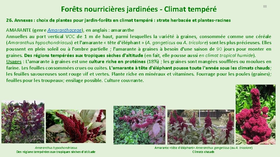 Forêts nourricières jardinées - Climat tempéré 88 26. Annexes : choix de plantes pour Forêts nourricières jardinées - Climat tempéré 88 26. Annexes : choix de plantes pour