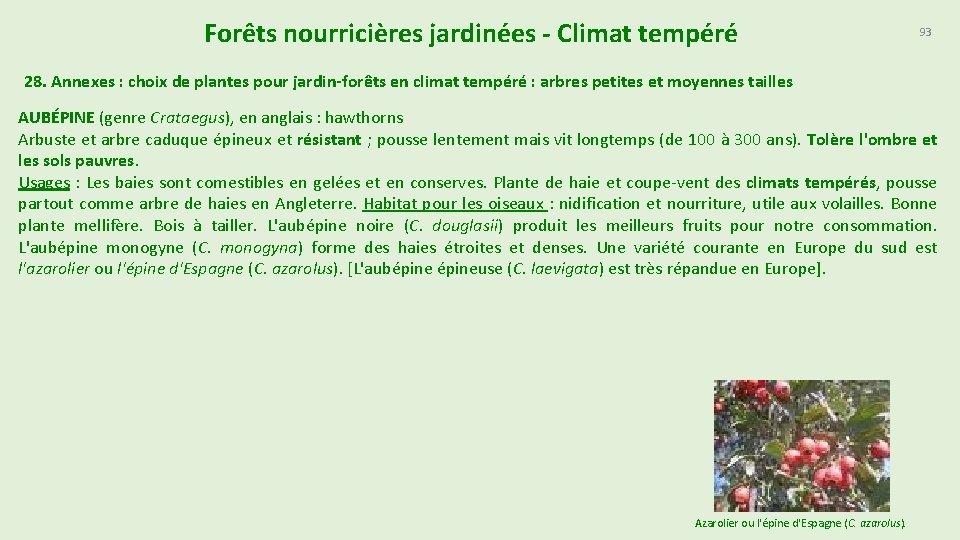 Forêts nourricières jardinées - Climat tempéré 93 28. Annexes : choix de plantes pour