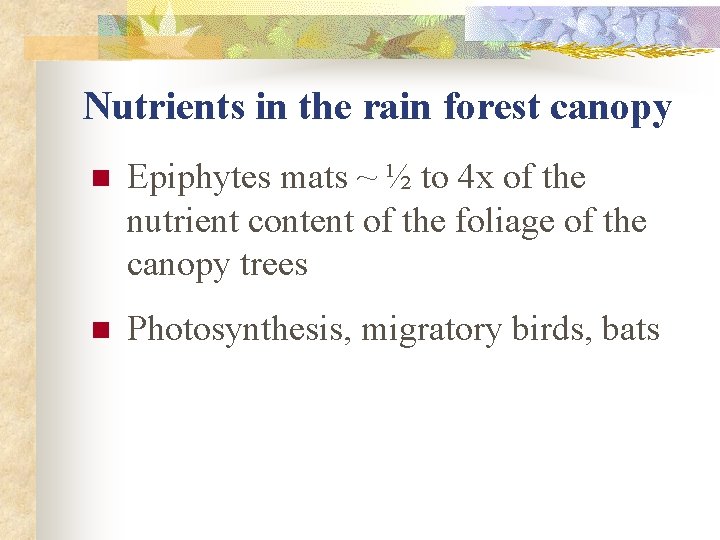 Nutrients in the rain forest canopy n Epiphytes mats ~ ½ to 4 x