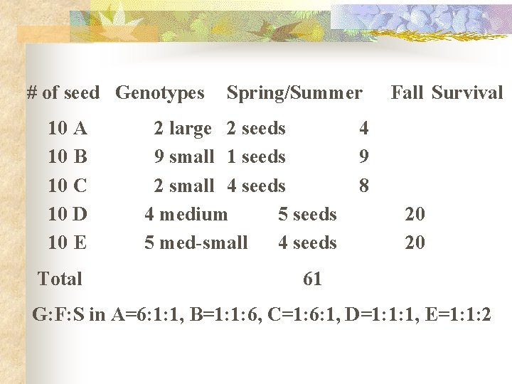 # of seed Genotypes 10 A 10 B 10 C 10 D 10 E