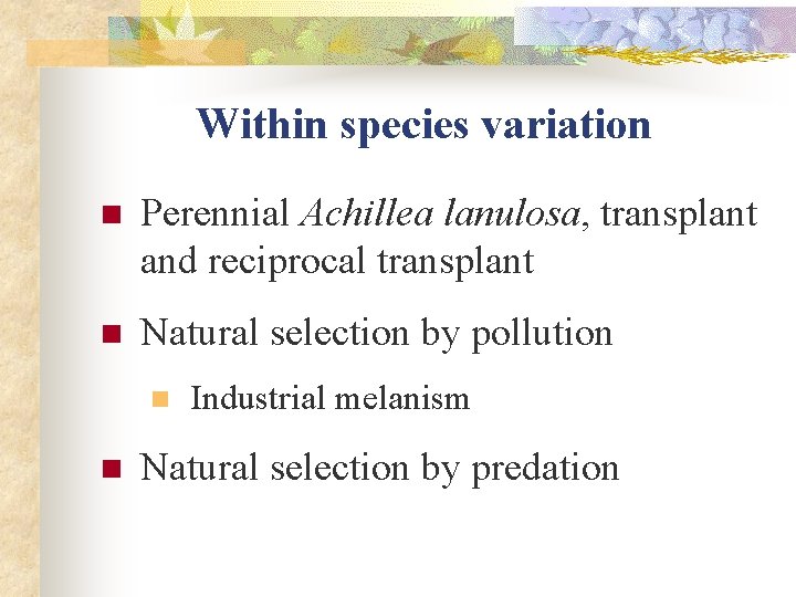 Within species variation n Perennial Achillea lanulosa, transplant and reciprocal transplant n Natural selection