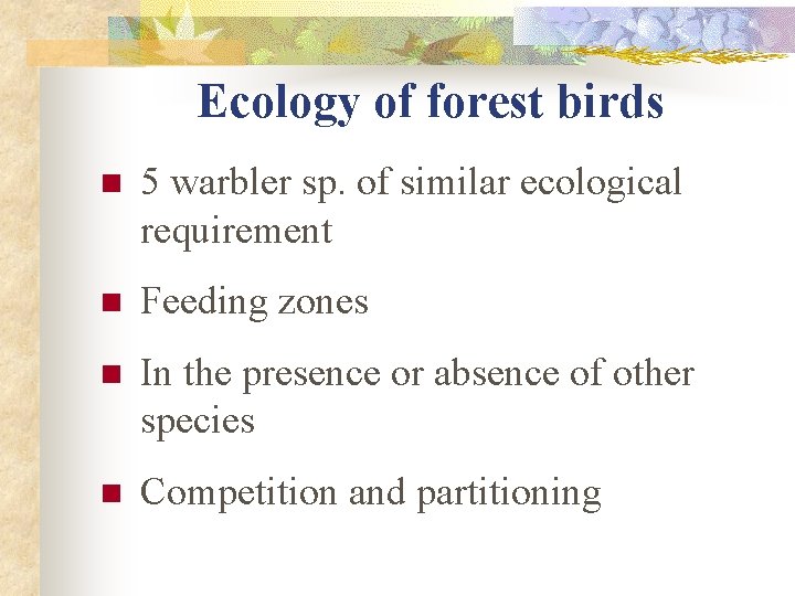 Ecology of forest birds n 5 warbler sp. of similar ecological requirement n Feeding