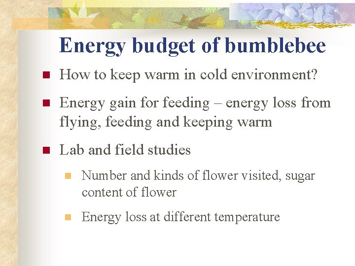 Energy budget of bumblebee n How to keep warm in cold environment? n Energy