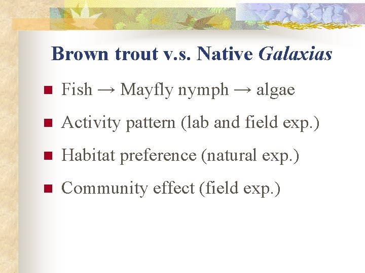 Brown trout v. s. Native Galaxias n Fish → Mayfly nymph → algae n