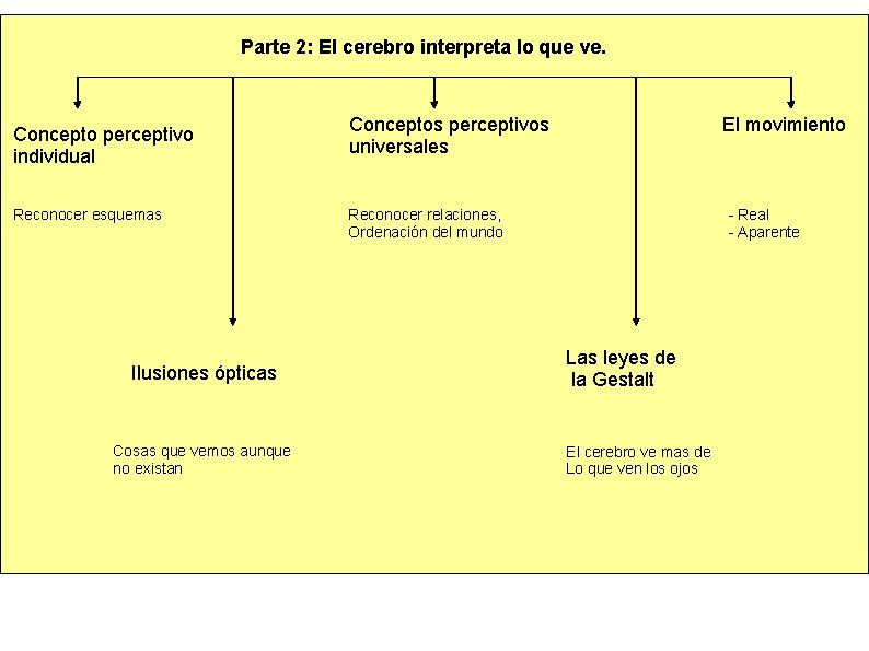 Parte 2: El cerebro interpreta lo que ve. Concepto perceptivo individual Reconocer esquemas Ilusiones