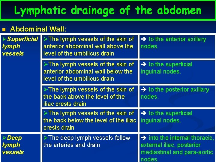 Lymphatic drainage of the abdomen n Abdominal Wall: ØSuperficial ØThe lymph vessels of the