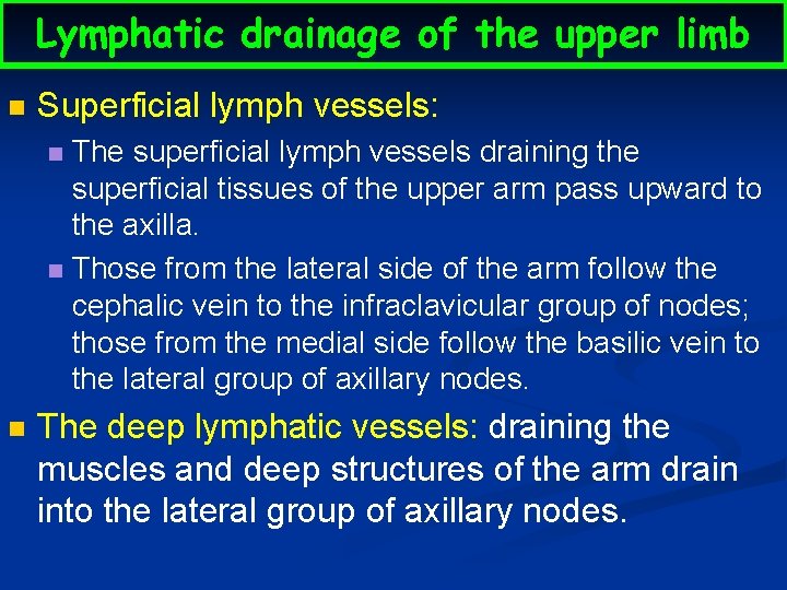 Lymphatic drainage of the upper limb n Superficial lymph vessels: The superficial lymph vessels