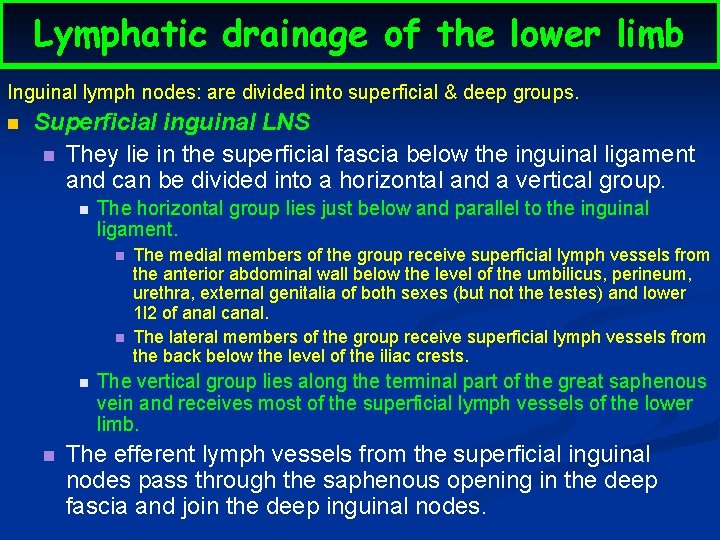 Lymphatic drainage of the lower limb Inguinal lymph nodes: are divided into superficial &