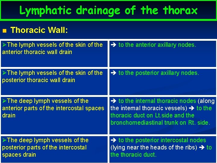 Lymphatic drainage of the thorax n Thoracic Wall: ØThe lymph vessels of the skin