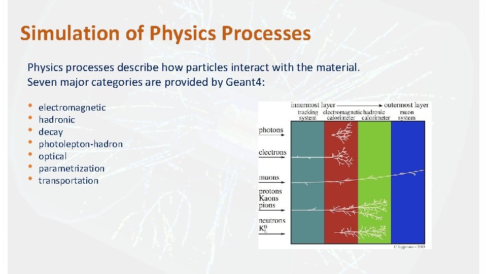 Simulation of Physics Processes Physics processes describe how particles interact with the material. Seven