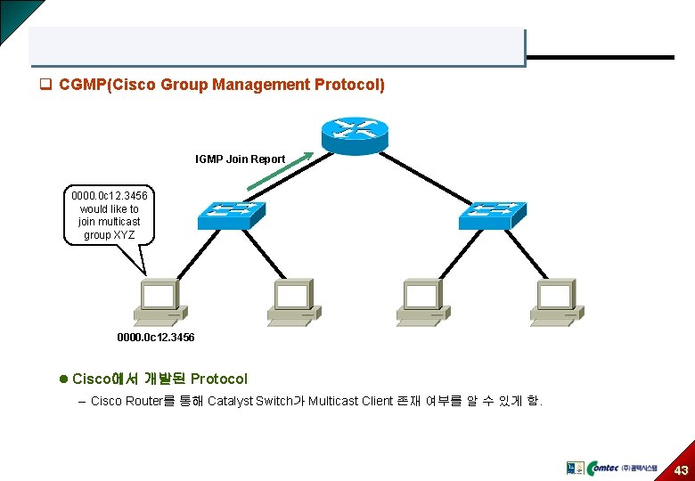 q CGMP(Cisco Group Management Protocol) IGMP Join Report 0000. 0 c 12. 3456 would