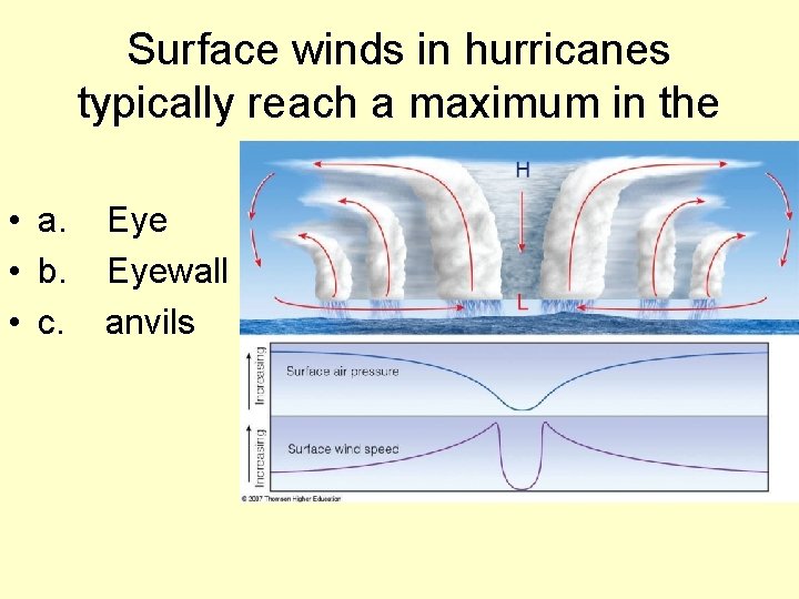 Surface winds in hurricanes typically reach a maximum in the • a. Eye •