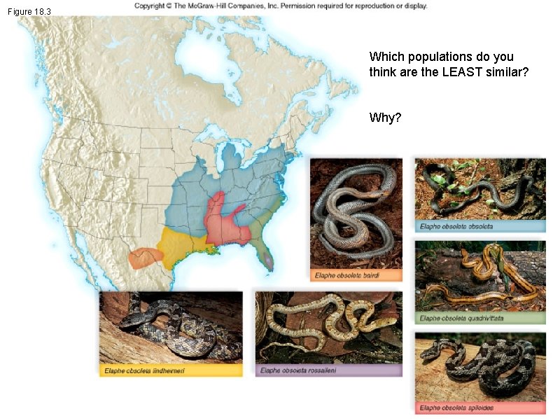 Figure 18. 3 Which populations do you think are the LEAST similar? Why? 