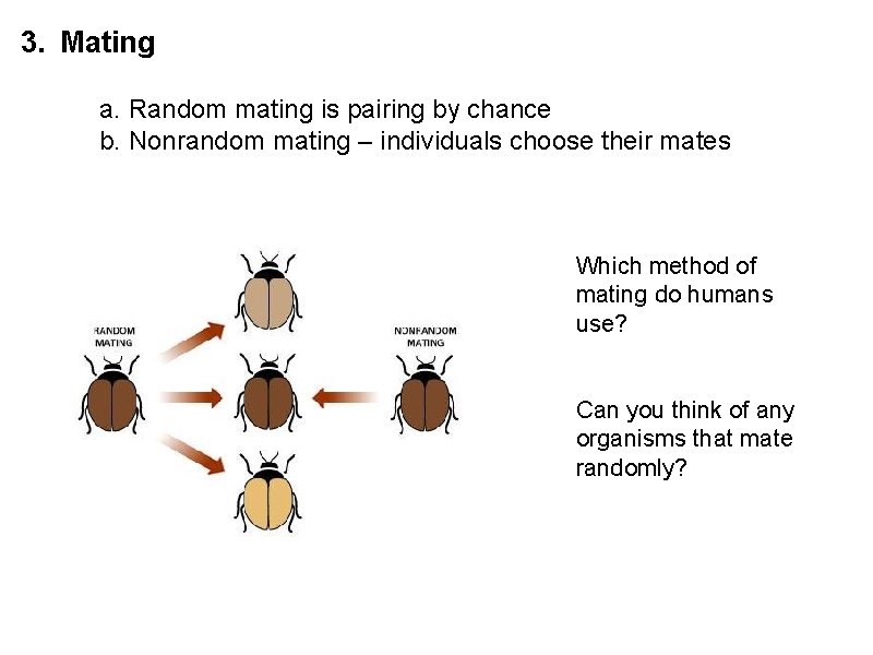 3. Mating a. Random mating is pairing by chance b. Nonrandom mating – individuals