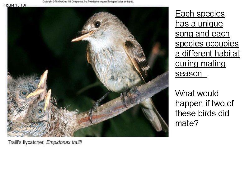 Figure 18. 10 c Each species has a unique song and each species occupies