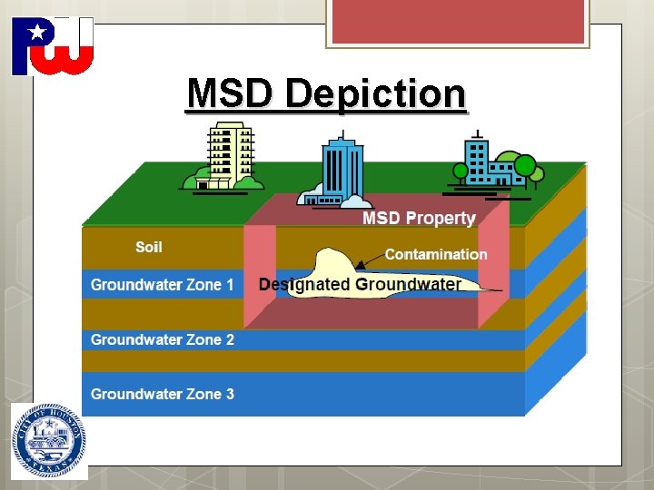 MSD Depiction 