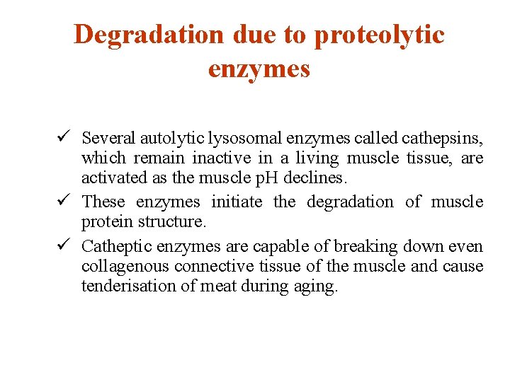 Degradation due to proteolytic enzymes ü Several autolytic lysosomal enzymes called cathepsins, which remain