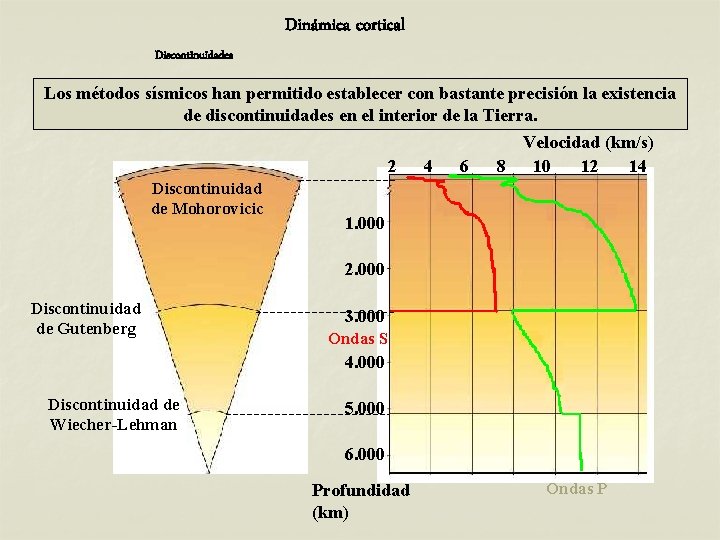 Dinámica cortical Discontinuidades Los métodos sísmicos han permitido establecer con bastante precisión la existencia Dinámica cortical Discontinuidades Los métodos sísmicos han permitido establecer con bastante precisión la existencia
