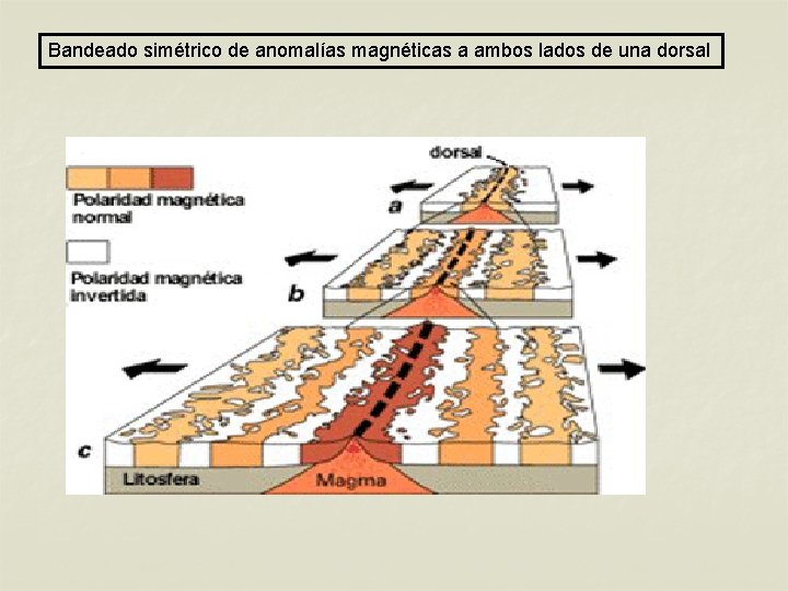 Bandeado simétrico de anomalías magnéticas a ambos lados de una dorsal Bandeado simétrico de anomalías magnéticas a ambos lados de una dorsal