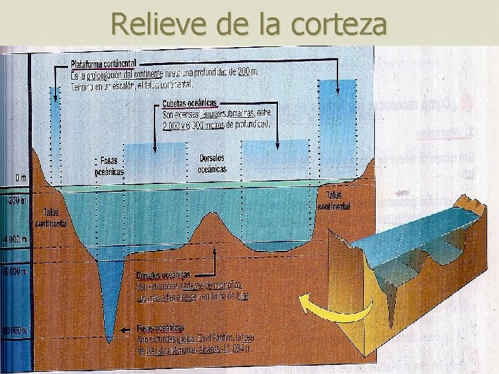 Relieve de la corteza Relieve de la corteza