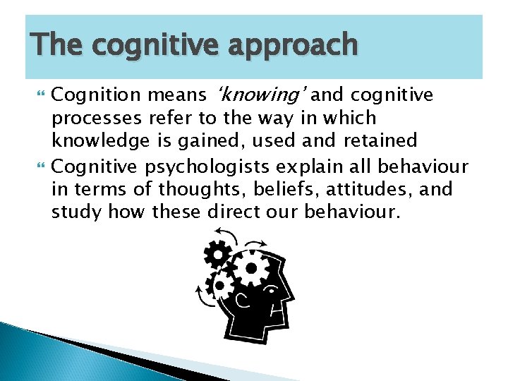 Tutor2u Psychology Cognitive Approach Explain The Cognitive